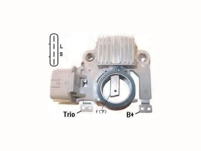Vehicle Regulator
